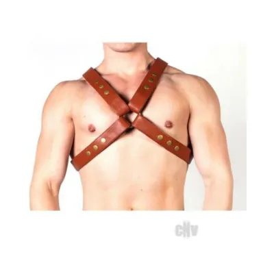 Prowler Red X Harness Brn brs Sm