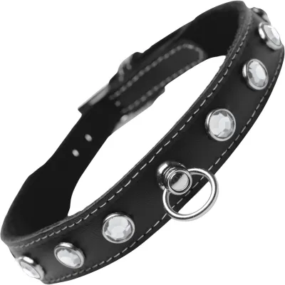 Master Series Leather Collar With Rhinestones Clear
