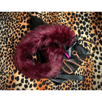 39 Tessa 39 Role Play Cat Costume Set