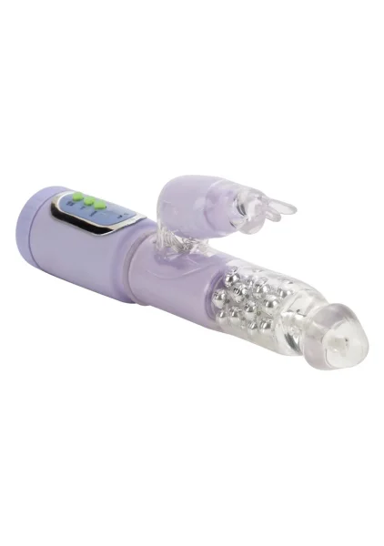 First time jack rabbit