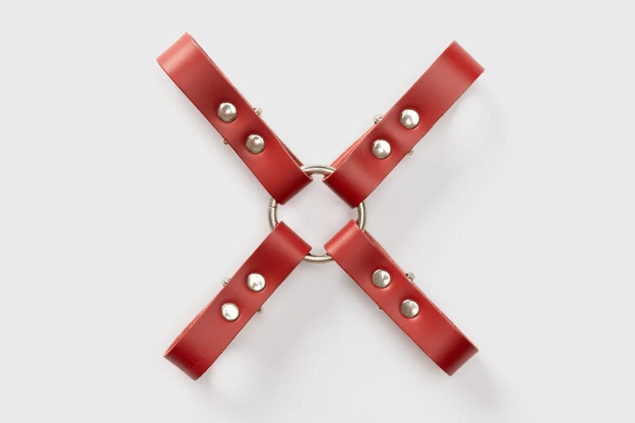 Liberator Leatherworks Elocia Hogtie
