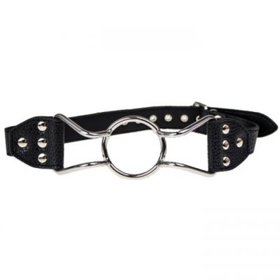 Bondara Stainless Steel Spider Mouth Gag