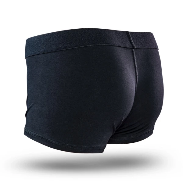 Temptasia Strap-On Harness Briefs, 4X By Blush Novelties - Black
