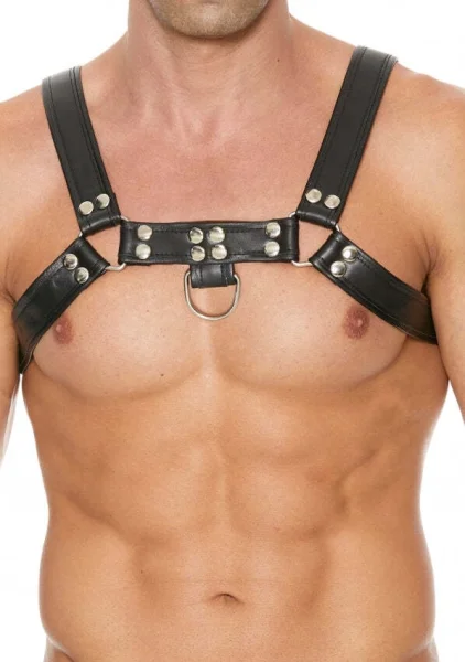 Chest Bulldog Harness L/XL