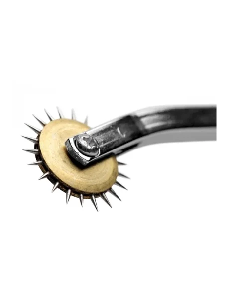 Electric Wartenberg Wheel Estim Kit - Grey