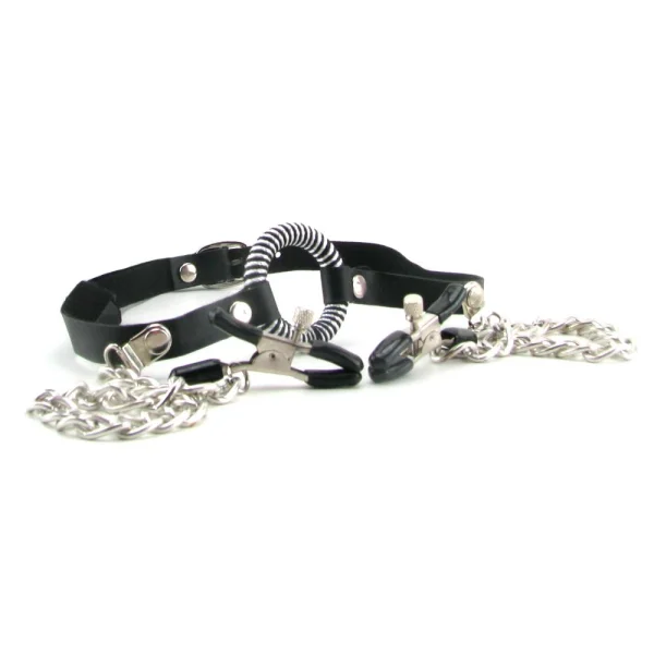 Fetish Fantasy Series Ltd. Ed. O-Ring Gag & Nipple Clamps