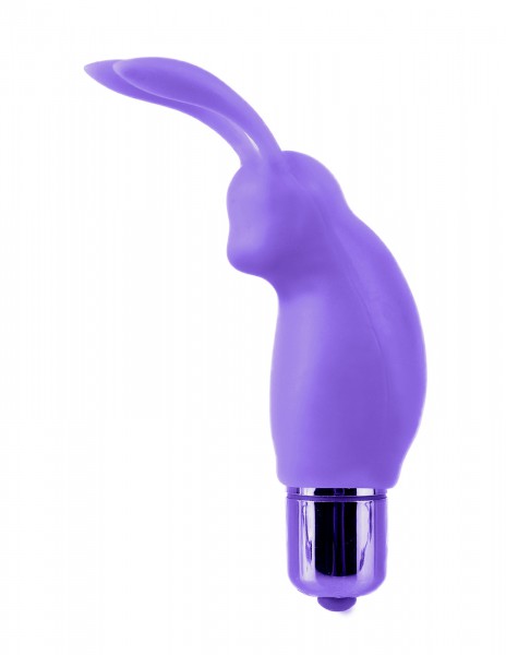 Couples Vibrator Kit