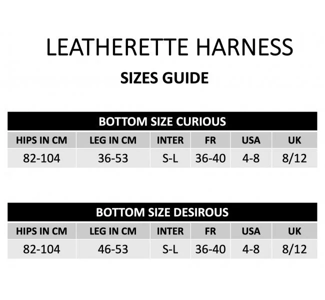 Strap-on-me Leather Harness Desirous