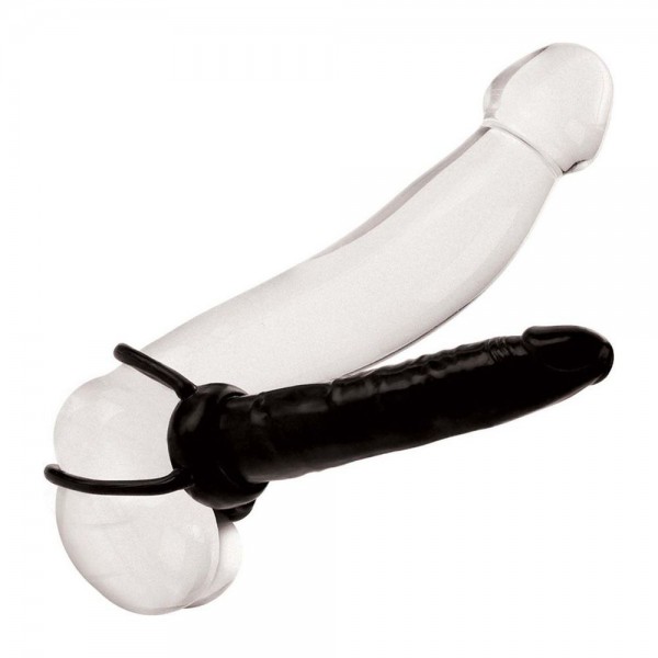 CalExotics Accommodator Dual Penetrator