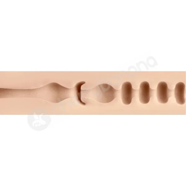 Fleshlight Girls Jenna Haze Lotus Masturbator