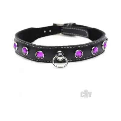 Ms Leather Collar W rhinestone Purple
