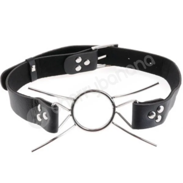 Fetish Fantasy Extreme - Spider Gag