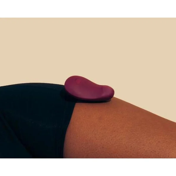 Pom by Dame Products