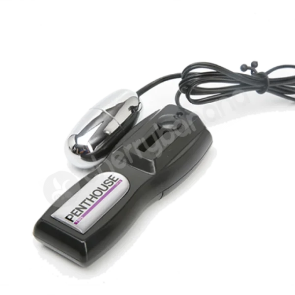 Penthouse Pet Collection Phoenix Marie Vibrating Cyberskin Pet Pussy & Ass Masturbator