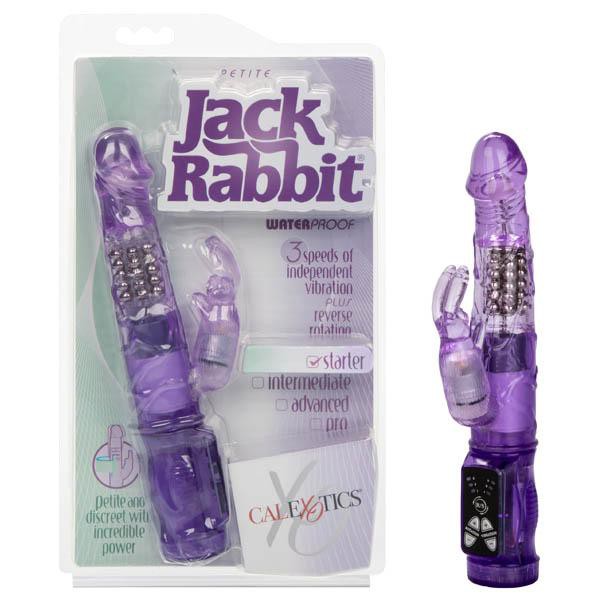 Petite Jack Rabbit