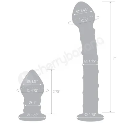 Glas 2pc Double Penetration Glass Swirly Dildo Butt plug Set