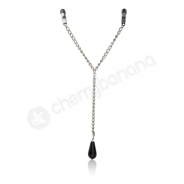 Nipple Play Weighted Nipple Clamps