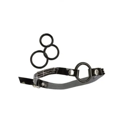 Open Ring Gag with Interchangeable Rings