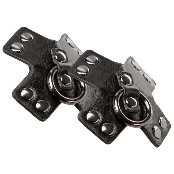 Euphoria Collection O-Ring Pasties By CalExotics