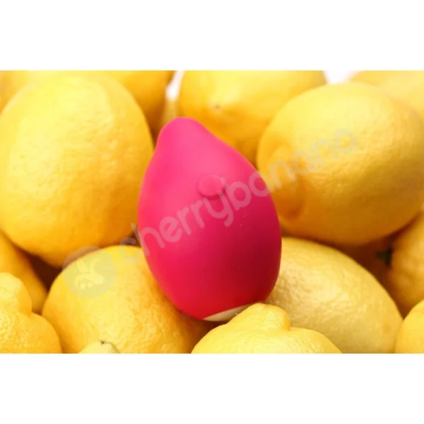 Limon Pink Rechargeable Vibrator