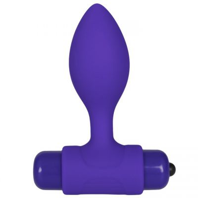 Bondara Purple 10 Function Vibrating Bullet Butt Plug 3 5 Inch