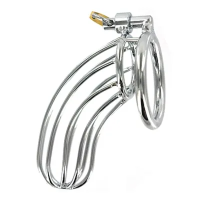 The Bird Cage Chastity Device Large Silver Large