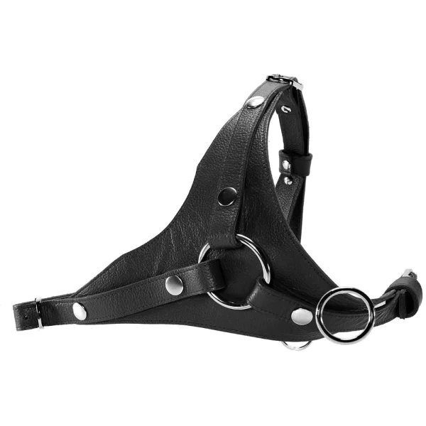 Leather dildo harness