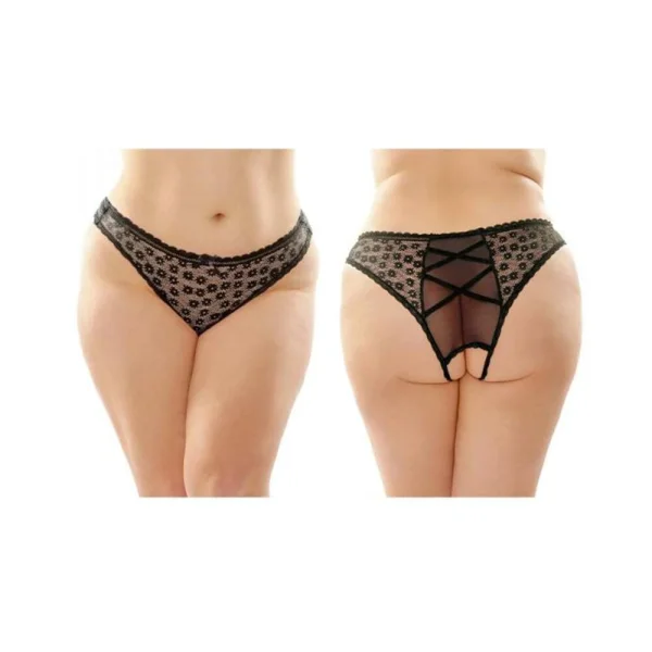 Daisy Crotchless Lace And Mesh Panty With Criss-cross Panel Back 6-pack Q/s Black