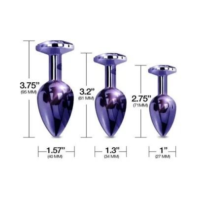 Nixie Metal Butt Plugtrainerset 3 piece Purple Metallic