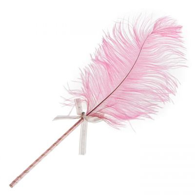 Bondara Ostrich Feather Teaser 16 Inch