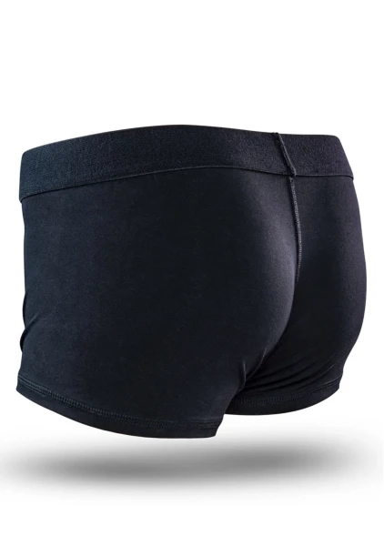 Temptasia - Harness Brief