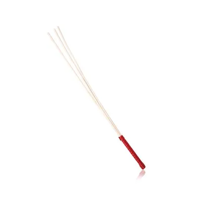 Disciple Tri cane Red