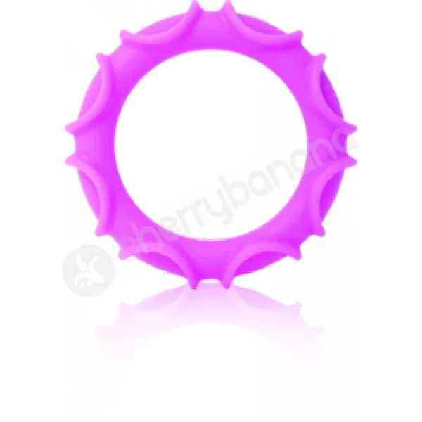 Adam & Eve Ultimate Couples Collection