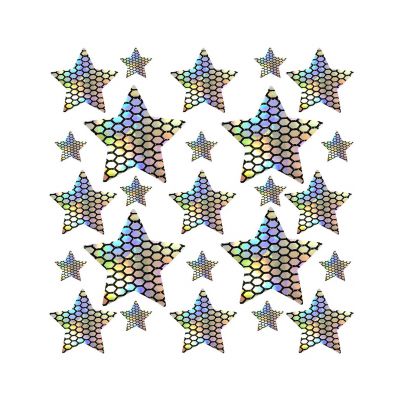 Neva Nude Net Holographic Star Body Pasties