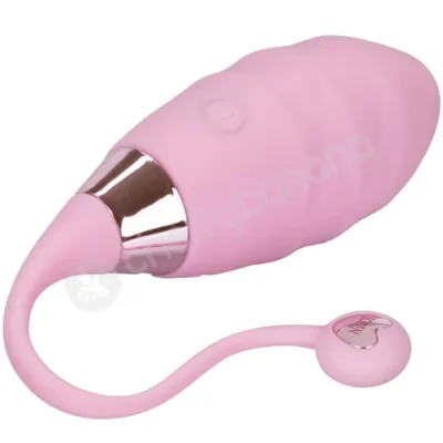 Jopen Amour Silicone Egg Bullet Vibe With Heart Shaped Remote Control