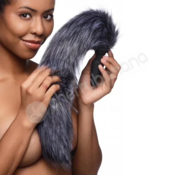 Tailz Silicone Anal 3.2" Plug & 3 Interchangeable Tails