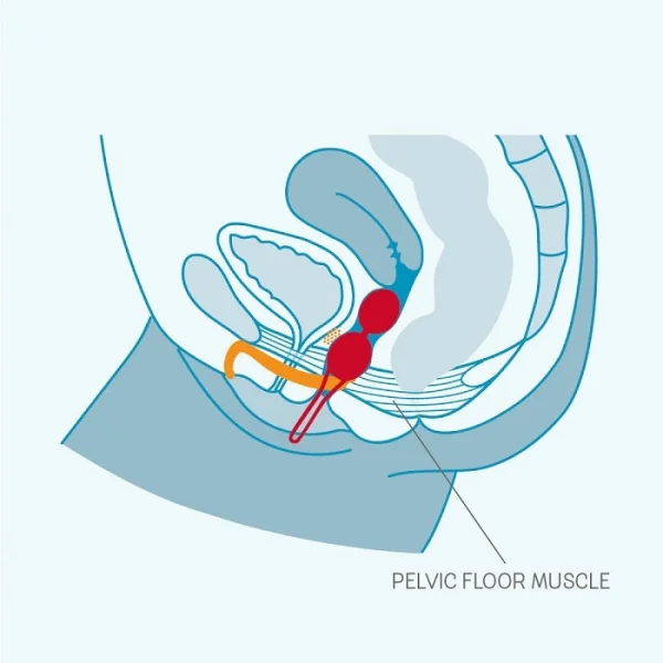 Fun Factory Duo Smartballs Kegel Exerciser — image 8 of 10