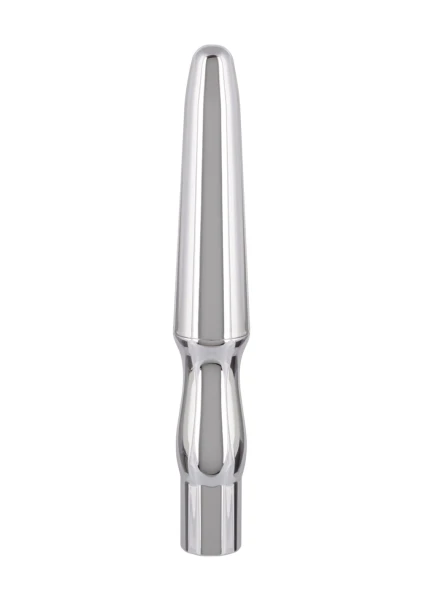 Rechargeable Anal Probe in Silver