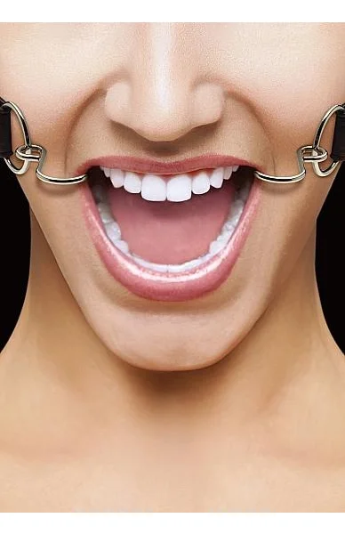 Ouch Hook Gag with Leather Straps O/S