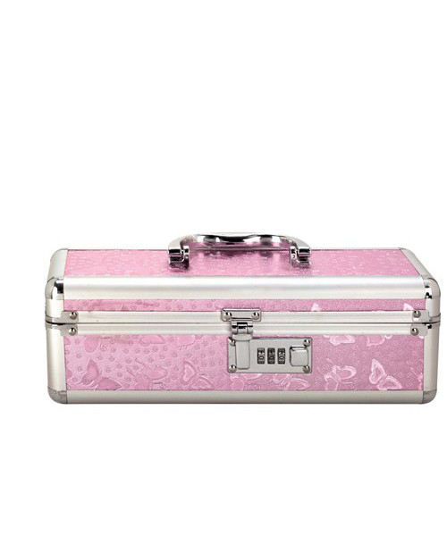 Lockable Sex Toy Storage Box