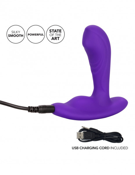 CalEx Remote Pinpoint Pleaser