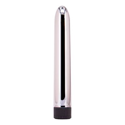 Silver Slick Bullet Vibrator Silver