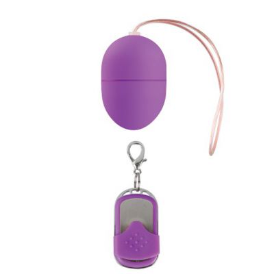 10 Speed Remote Vibrating Egg Small Purple Remote Control Vibrating Egg