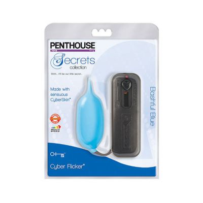 Penthouse Secrets Cyber Flicker Bashful Blue