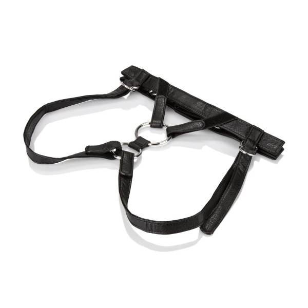 Her Royal Harness - The Dutchess