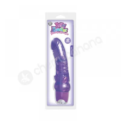 Jelly Rancher Purple 6 Vibrating Massager