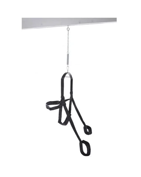 Fetish Fantasy Sex Swing