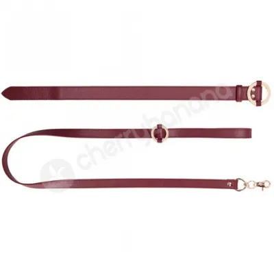 Ouch Halo Red Gold Luxury Collar With Leash