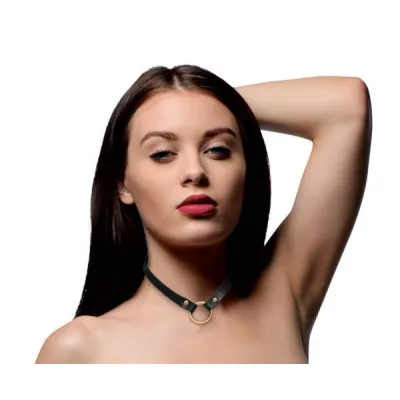 Posh Pet Gold Ring Slim Choker