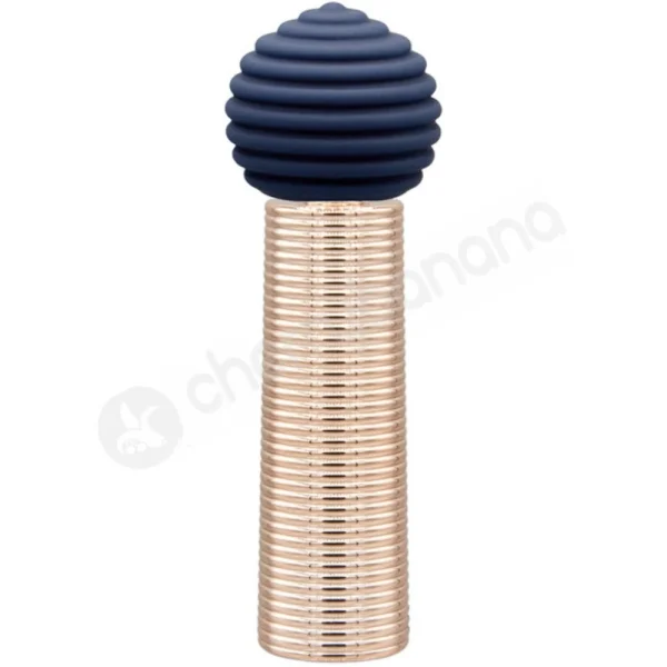 Pillow Talk Secrets Desires 6 Piece Mini Massage Vibrator Set